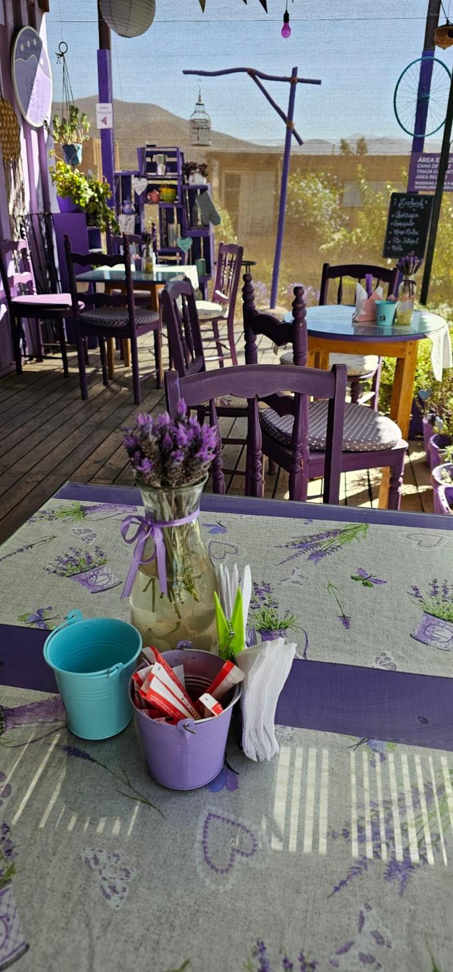 Lavanda Del Valle Vicuña Exterior foto